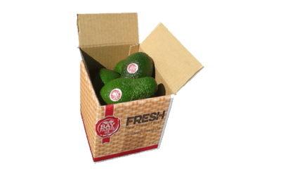 Box of 10 Avocados for sale