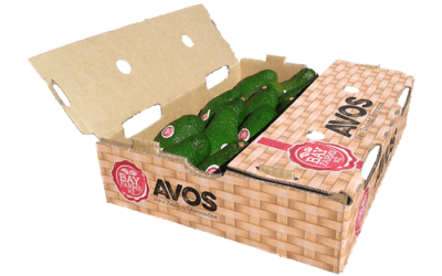 Tray of 24 Avocados for sale