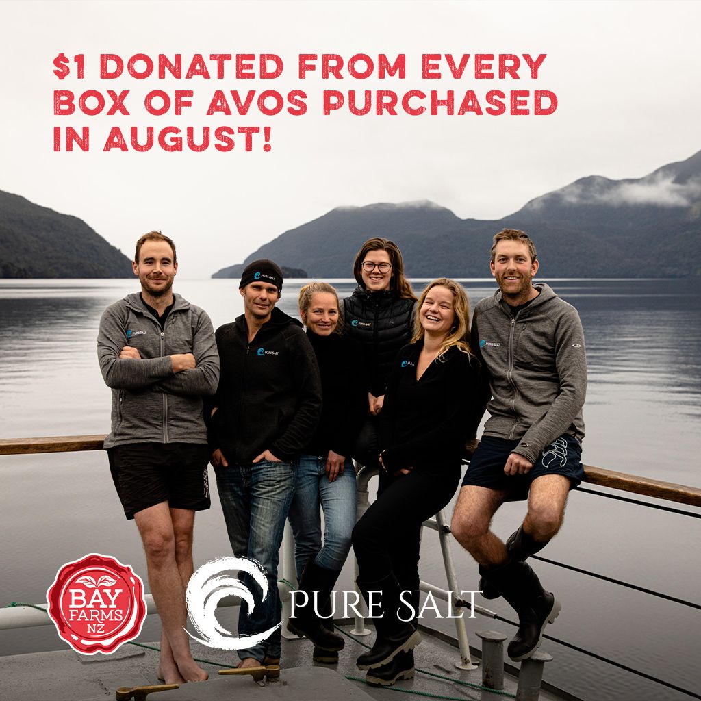 Dusky Sound Project Fundraising
